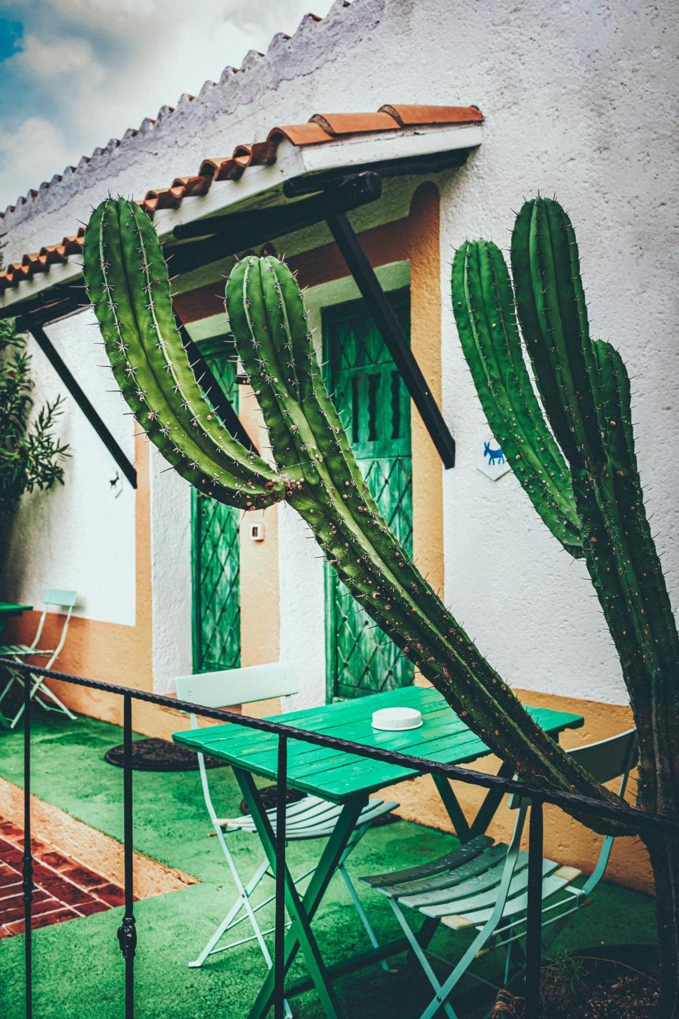 Ca' La Somara Otel San Pantaleo Dış mekan fotoğraf