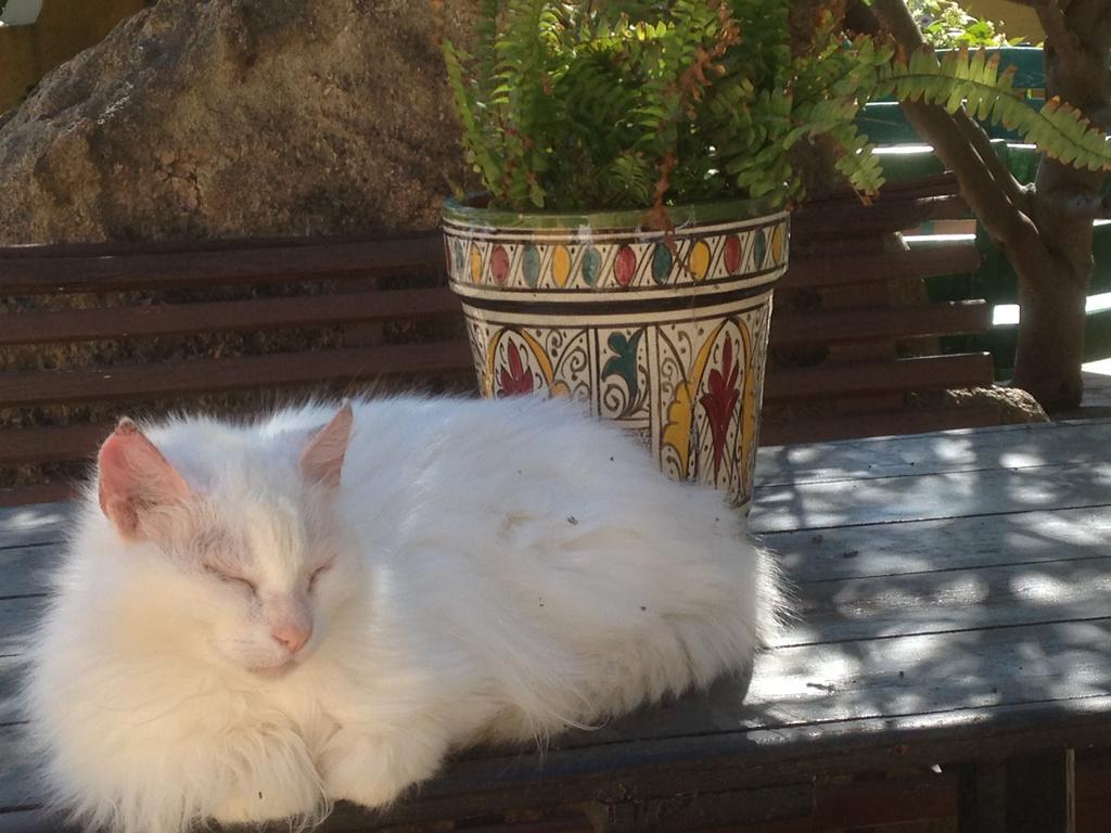 Ca' La Somara Otel San Pantaleo Dış mekan fotoğraf