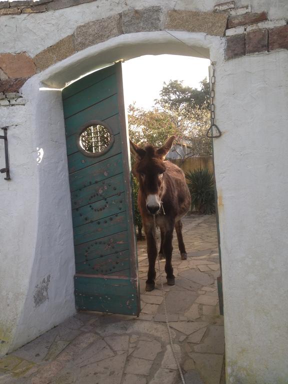 Ca' La Somara Otel San Pantaleo Dış mekan fotoğraf